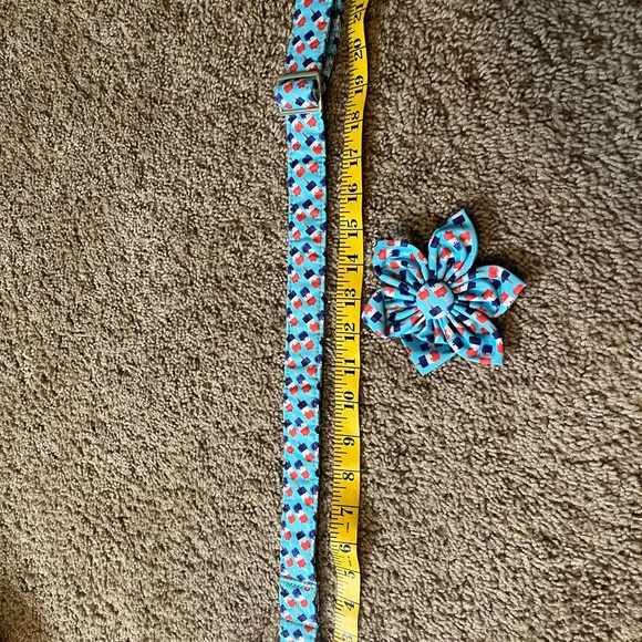 Fourth of July dog collar - Picture 6 of 6